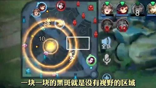 王者大爆料二哥视频下载,揭秘游戏幕后精彩瞬间  第1张